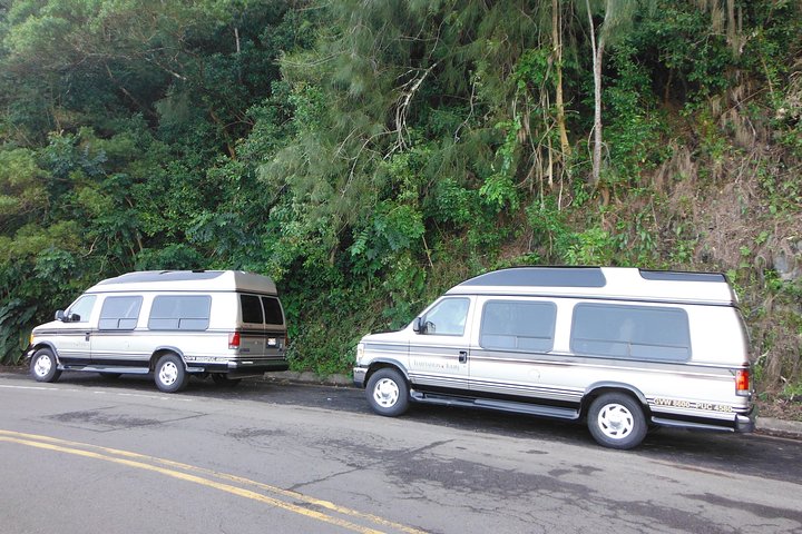 Tour en Limo-Van de lujo por la Carretera a Hana de Maui con un pintoresco vuelo en helicóptero, foto 8 | wizardtrip