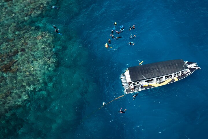 Excursion d'une demi-journée à la Grande Barrière de Corail pour snorkeling à Cairns | wizardtrip
