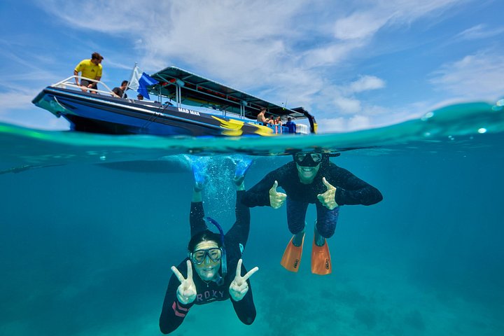 Aventura de snorkel en la Gran Barrera de Coral desde Cairns, Australia, foto 6 | wizardtrip