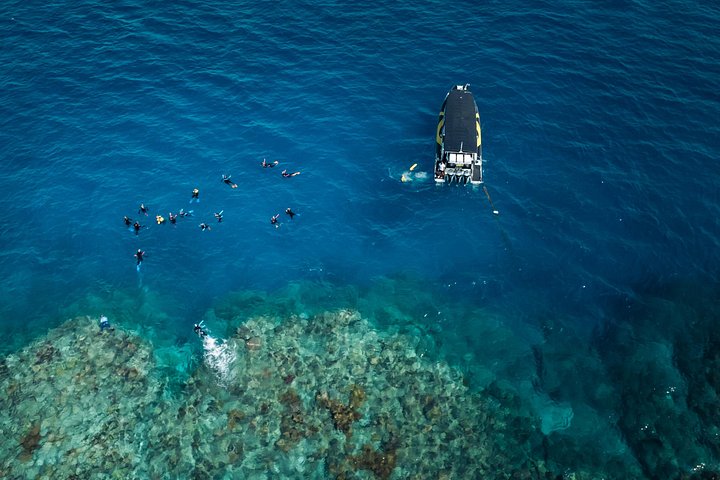 Aventura de snorkel en la Gran Barrera de Coral desde Cairns, Australia, foto 7 | wizardtrip