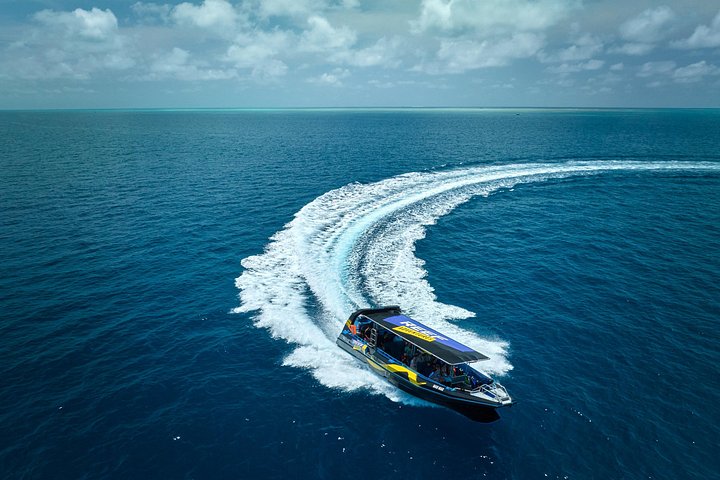 Aventura de snorkel en la Gran Barrera de Coral desde Cairns, Australia, foto 8 | wizardtrip
