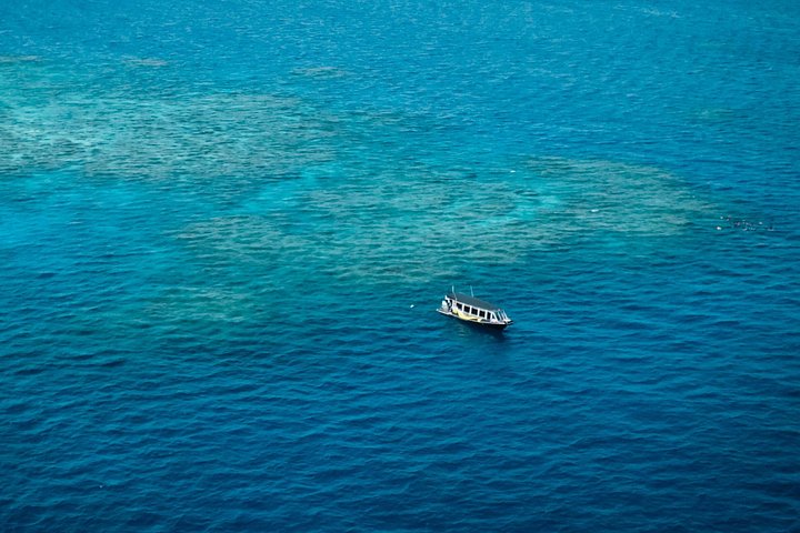 Aventura de snorkel en la Gran Barrera de Coral desde Cairns, Australia, foto 10 | wizardtrip