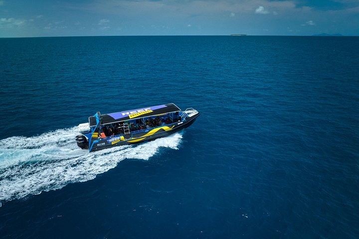 Aventura de snorkel en la Gran Barrera de Coral desde Cairns, Australia, foto 12 | wizardtrip