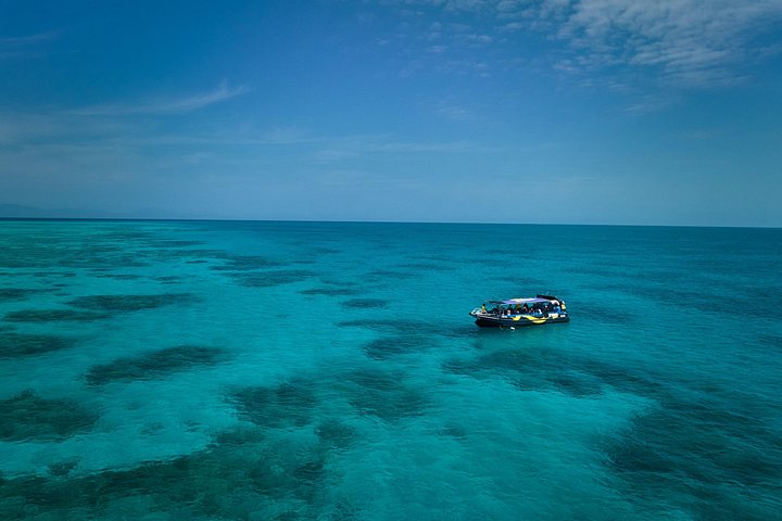 Aventura de snorkel en la Gran Barrera de Coral desde Cairns, Australia, foto 13 | wizardtrip