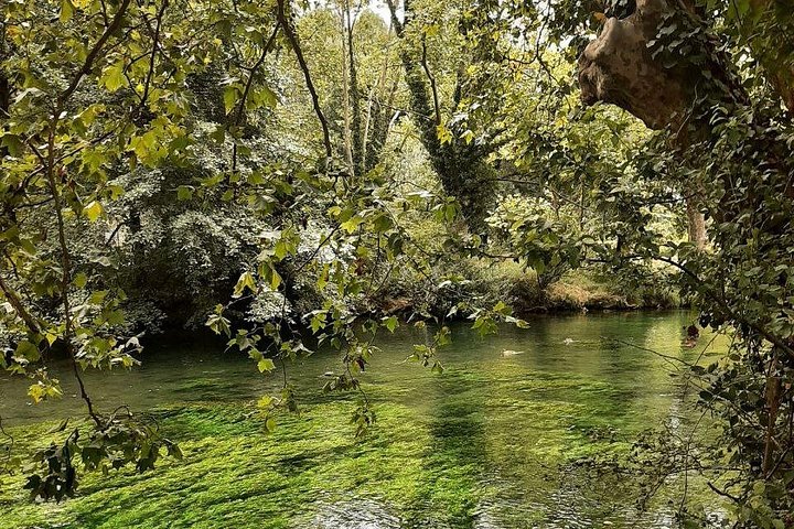 Heldagstur, der udforsker Provence's landsbyer på bakketoppe, romerske steder og lavendelmarker, foto 10 | wizardtrip