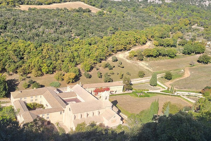 Heldagstur, der udforsker Provence's landsbyer på bakketoppe, romerske steder og lavendelmarker, foto 11 | wizardtrip