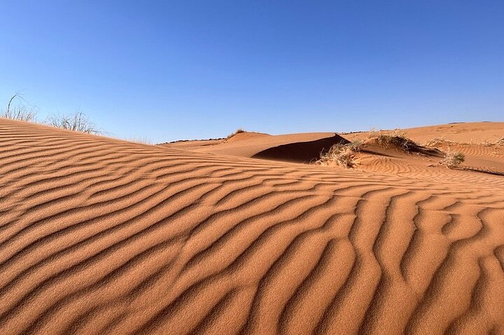 4x4 Jeep safari avontuur in de Marokkaanse woestijn nabij Agadir, foto 17 | wizardtrip