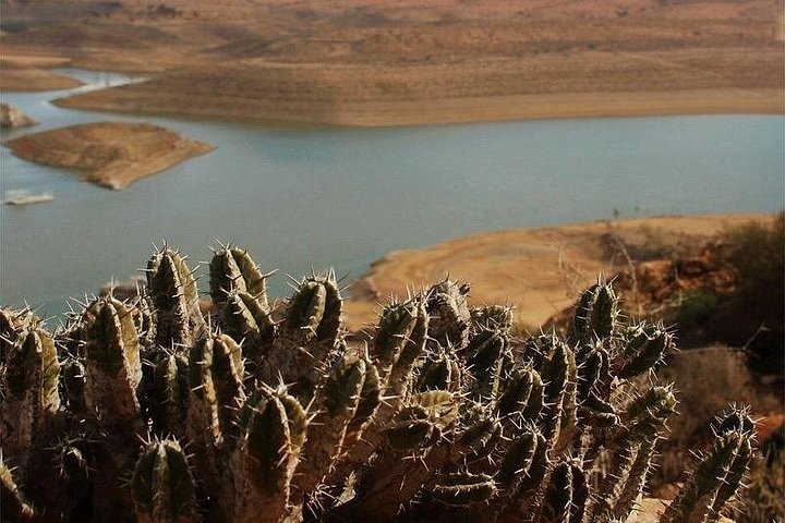 4x4 Jeep safari avontuur in de Marokkaanse woestijn nabij Agadir, foto 26 | wizardtrip