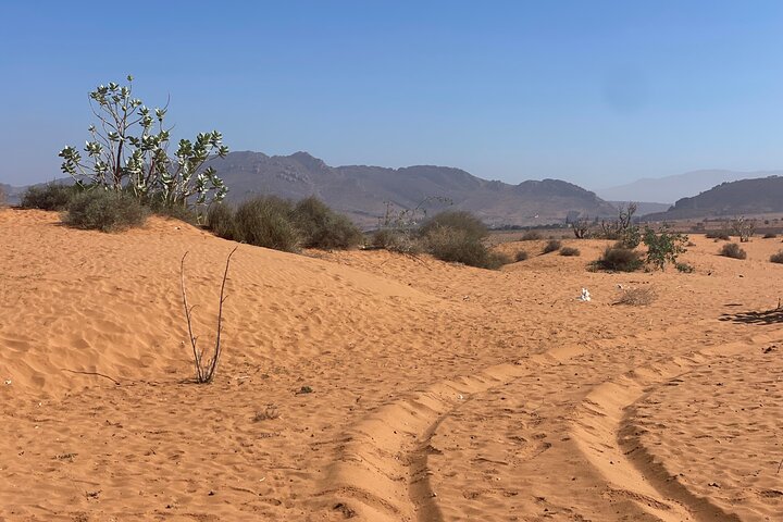 4x4 Jeep safari avontuur in de Marokkaanse woestijn nabij Agadir, foto 29 | wizardtrip