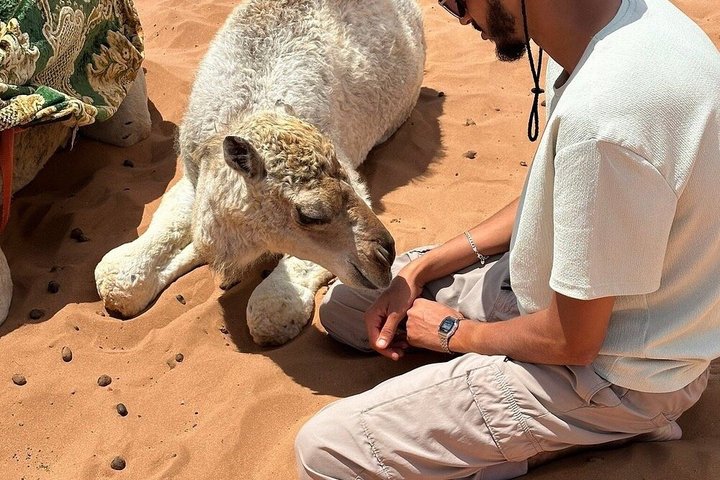 4x4 Jeep safari avontuur in de Marokkaanse woestijn nabij Agadir, foto 34 | wizardtrip