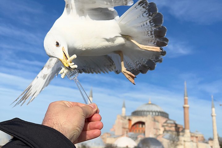 Private geführte Tour zu Istanbuls historischen Wundern, einschließlich Hagia Sophia, Blauer Moschee und Topkapi-Palast, Foto 17 | wizardtrip