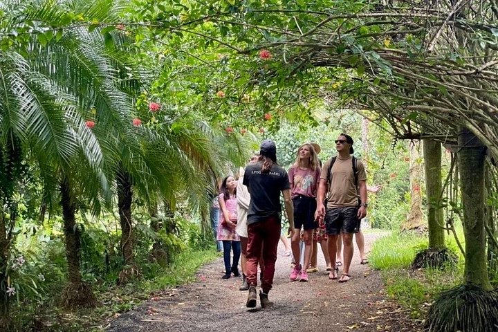 Ervaar een chocoladeboerderij proeverij tour op Kauai, proef lokale cacao en tropisch fruit, foto 6 | wizardtrip
