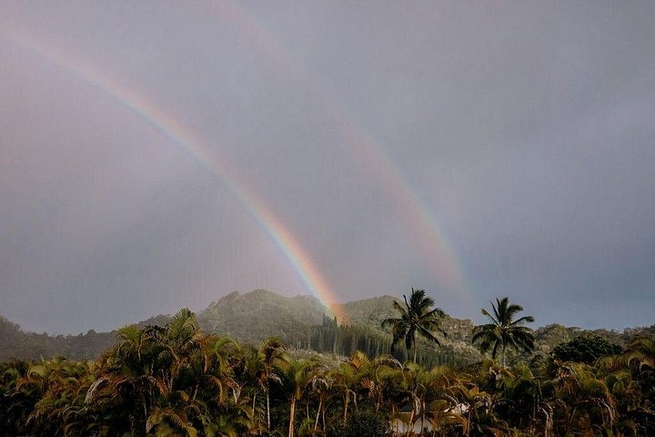 Ervaar een chocoladeboerderij proeverij tour op Kauai, proef lokale cacao en tropisch fruit, foto 15 | wizardtrip