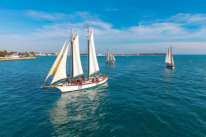 Goditi una navigazione al tramonto a Key West a bordo di uno schooner storico, con viste mozzafiato e un'avventura marittima unica, foto 9 | wizardtrip