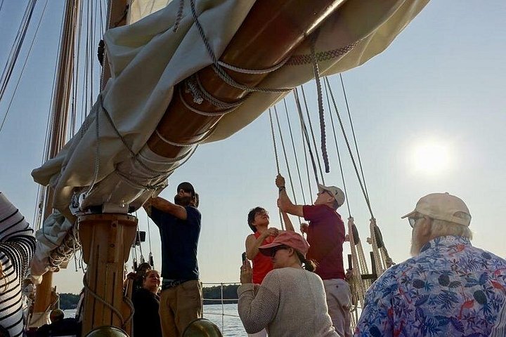 Goditi una navigazione al tramonto a Key West a bordo di uno schooner storico, con viste mozzafiato e un'avventura marittima unica, foto 11 | wizardtrip