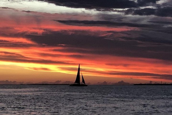 Goditi una navigazione al tramonto a Key West a bordo di uno schooner storico, con viste mozzafiato e un'avventura marittima unica, foto 13 | wizardtrip