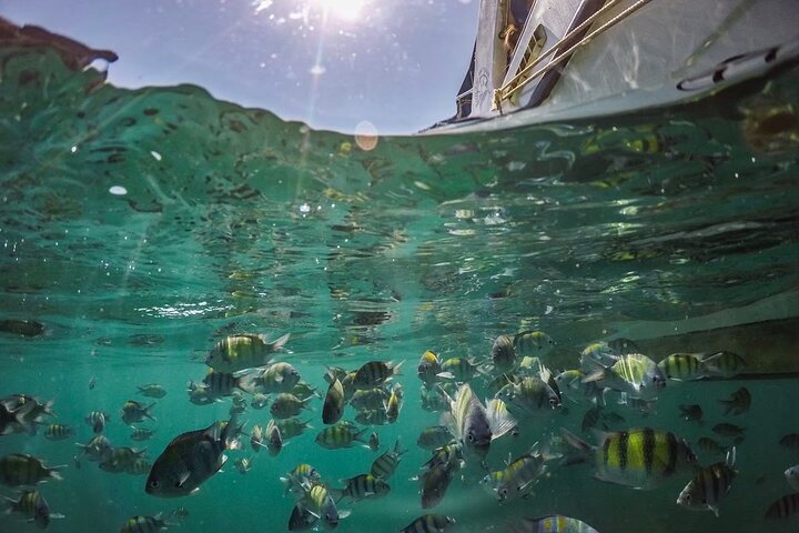 Speedboottocht naar Phi Phi-eilanden, Maya Bay en Bamboo Island vanuit Phuket, Thailand, foto 6 | wizardtrip