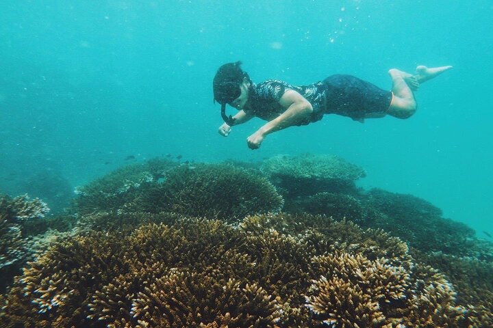 Speedboottocht naar Phi Phi-eilanden, Maya Bay en Bamboo Island vanuit Phuket, Thailand, foto 10 | wizardtrip