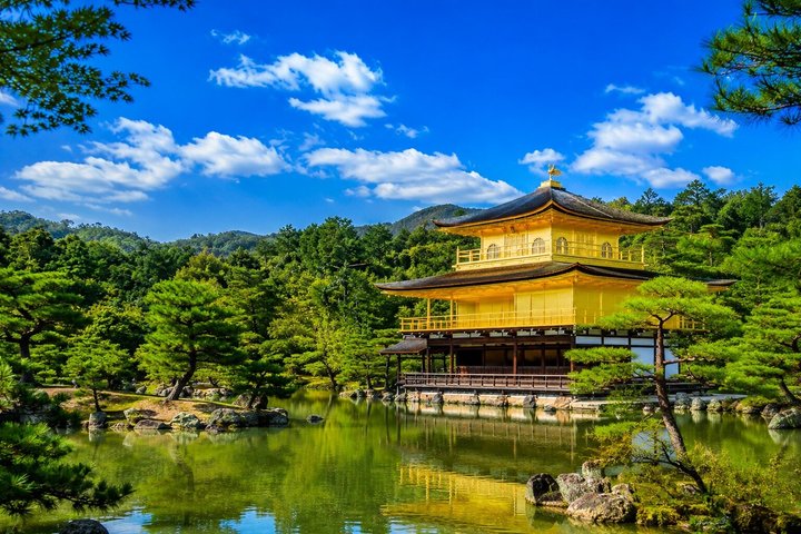 Excursion privée d'une journée à Kyoto avec guide local et option Nara | wizardtrip