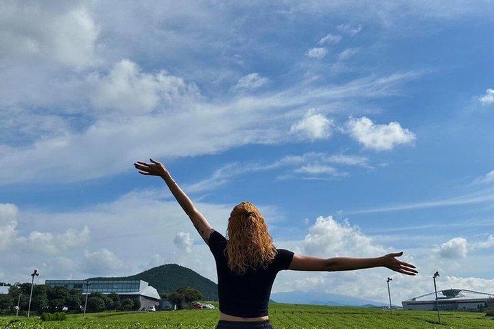 A scenic day tour exploring Jeju's natural beauty, cultural sites, and volcanic landscapes, photo 9 | wizardtrip