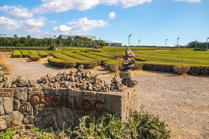 Tour di un giorno intero della bellezza naturale e dei siti culturali dell'isola di Jeju, inclusi il Monte Halla e le cascate, foto 7 | wizardtrip