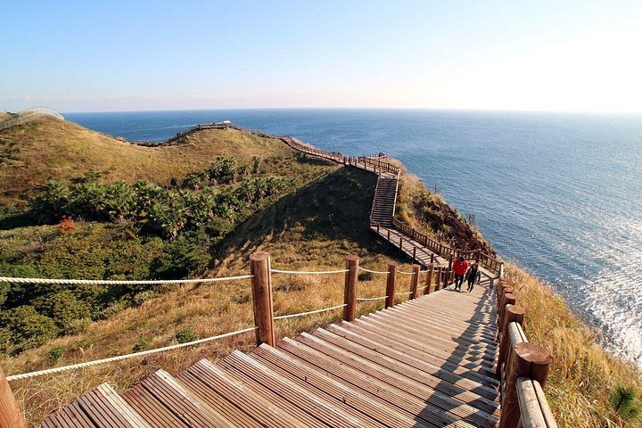 Tour di un giorno intero della bellezza naturale e dei siti culturali dell'isola di Jeju, inclusi il Monte Halla e le cascate, foto 9 | wizardtrip