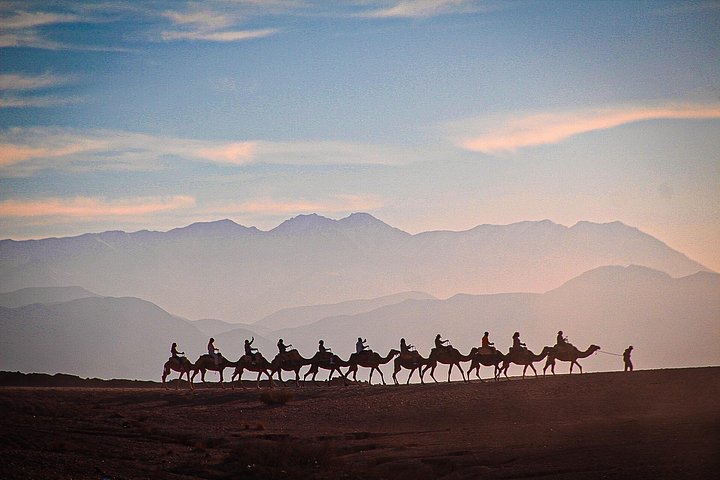 Erleben Sie einen marokkanischen Wüstensonnenuntergang mit Kamelritt, Abendessen und Feuershow in der Nähe von Marrakesch, Foto 8 | wizardtrip
