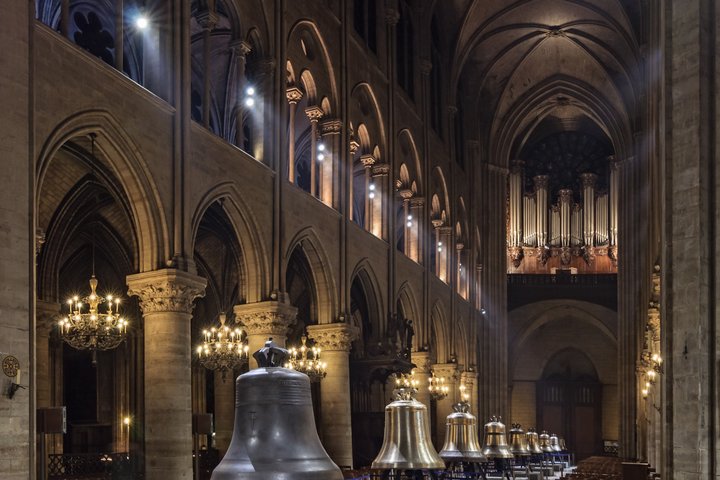 Tour guidato della Cattedrale di Notre-Dame a Parigi, che mostra la sua architettura gotica e la storia, foto 6 | wizardtrip
