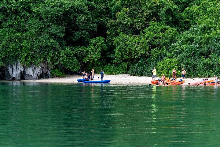 All-inclusive cruise-ervaring in de serene Bai Tu Long Bay, Vietnam, met kajakken en schilderachtige uitzichten, foto 19 | wizardtrip