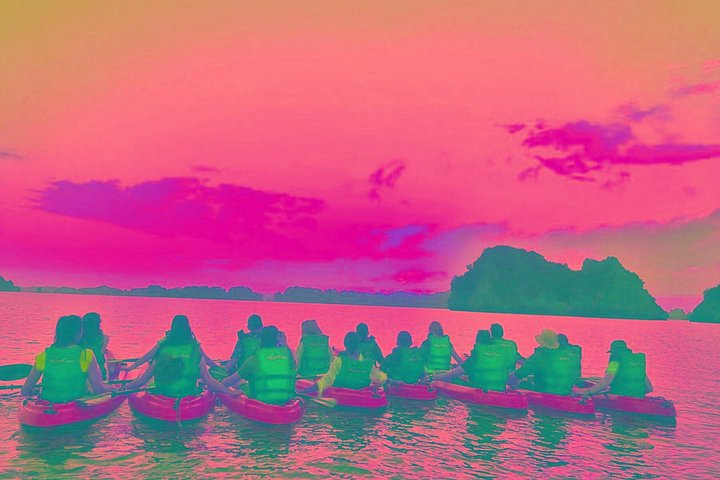 All-inclusive cruise-ervaring in de serene Bai Tu Long Bay, Vietnam, met kajakken en schilderachtige uitzichten, foto 21 | wizardtrip