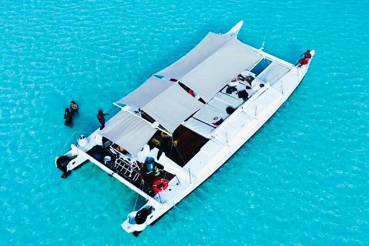 メキシコ、コズメルのエル・シエロとサンゴ礁へのカタマランクルーズ、写真7 | wizardtrip