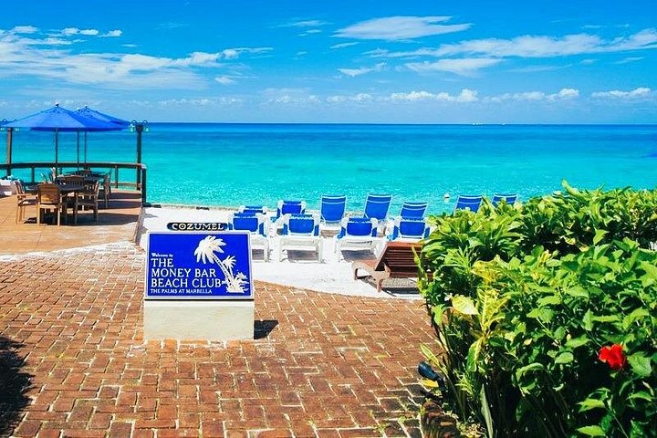 メキシコ、コズメルのエル・シエロとサンゴ礁へのカタマランクルーズ、写真9 | wizardtrip