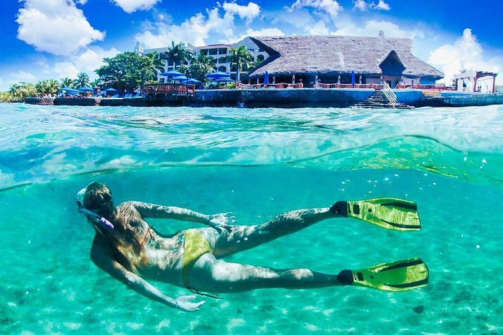 メキシコ、コズメルのエル・シエロとサンゴ礁へのカタマランクルーズ、写真10 | wizardtrip