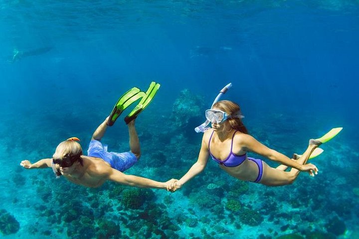 メキシコ、コズメルのエル・シエロとサンゴ礁へのカタマランクルーズ、写真16 | wizardtrip