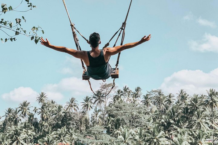 Explora el corazón cultural de Ubud: Bosque de Monos, arrozales, cascadas y templos en un tour guiado, foto 14 | wizardtrip