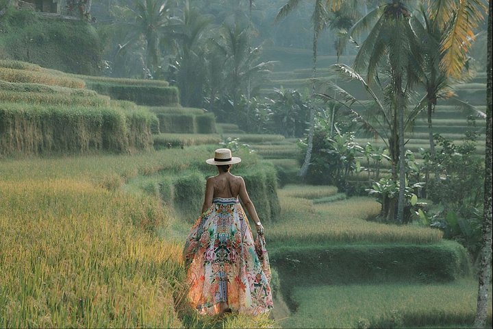 Explora el corazón cultural de Ubud: Bosque de Monos, arrozales, cascadas y templos en un tour guiado, foto 16 | wizardtrip