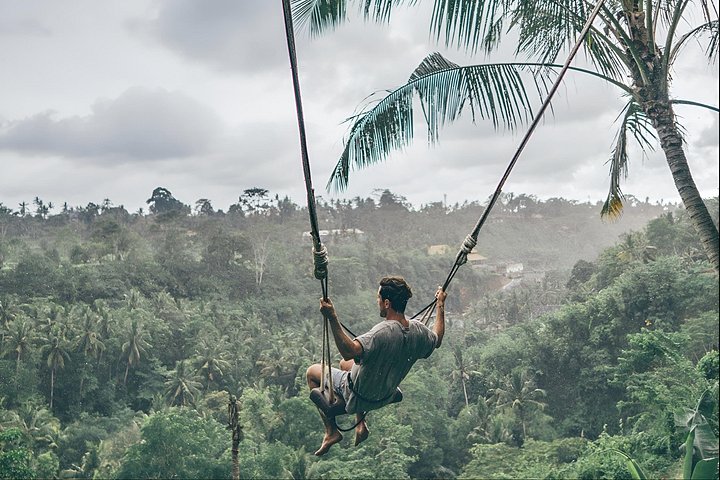 Explora el corazón cultural de Ubud: Bosque de Monos, arrozales, cascadas y templos en un tour guiado, foto 19 | wizardtrip