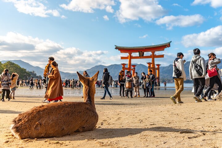Hiroshima and Miyajima Day Trip with Itsukushima Shrine & Ferry | wizardtrip