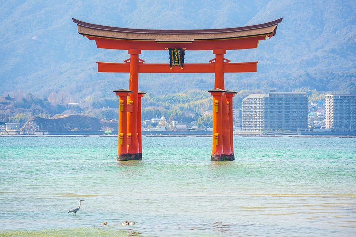 Tagesausflug nach Hiroshima und Miyajima mit Itsukushima-Schrein und Atombombendom, Foto 14 | wizardtrip