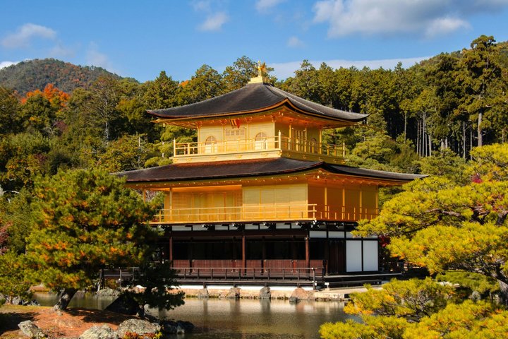Kyoto Full-Day Bus Tour: Nijo, Arashiyama & Fushimi Inari (EN/ES) | wizardtrip