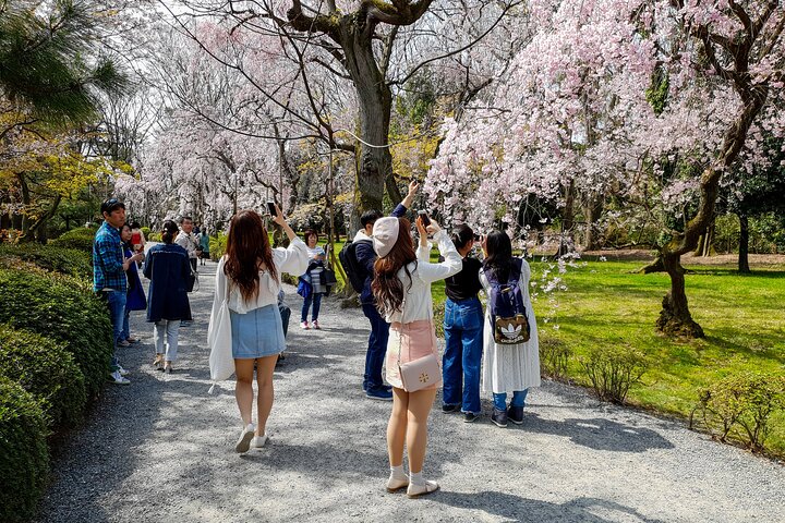 Dagtocht per bus door Kyoto's iconische UNESCO-werelderfgoedsites, waaronder Arashiyama Bamboebos, Gouden Paviljoen, Nijo Castle, Kiyomizu-dera en Fushimi Inari, foto 12 | wizardtrip