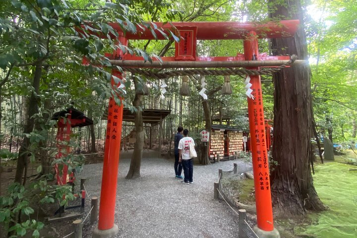 Dagtocht per bus door Kyoto's iconische UNESCO-werelderfgoedsites, waaronder Arashiyama Bamboebos, Gouden Paviljoen, Nijo Castle, Kiyomizu-dera en Fushimi Inari, foto 16 | wizardtrip