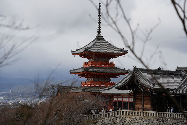 Dagtocht per bus door Kyoto's iconische UNESCO-werelderfgoedsites, waaronder Arashiyama Bamboebos, Gouden Paviljoen, Nijo Castle, Kiyomizu-dera en Fushimi Inari, foto 28 | wizardtrip