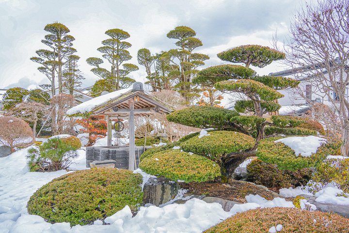 Excursion d'une journée au Mont Fuji, Kamakura et Lac Ashi depuis Tokyo, Japon, photo 13 | wizardtrip