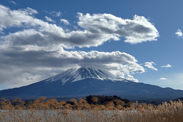 Excursion d'une journée au Mont Fuji, Kamakura et Lac Ashi depuis Tokyo, Japon, photo 21 | wizardtrip