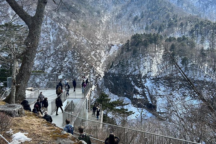 Gita di un giorno a Nikko da Tokyo con santuari, cascate e laghi, foto 15 | wizardtrip