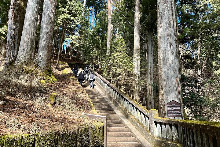 Gita di un giorno a Nikko da Tokyo con santuari, cascate e laghi, foto 23 | wizardtrip