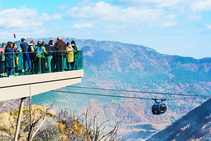 Passeio de um dia de Tóquio ao Monte Fuji e Hakone, com cruzeiros, teleféricos e vistas panorâmicas, foto 9 | wizardtrip