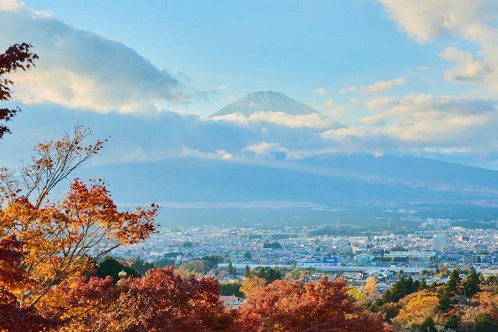 Passeio de um dia de Tóquio ao Monte Fuji e Hakone, com cruzeiros, teleféricos e vistas panorâmicas, foto 10 | wizardtrip