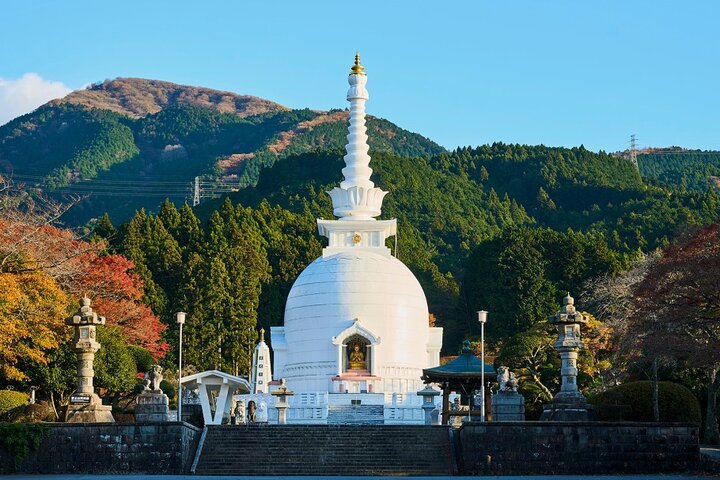 Passeio de um dia de Tóquio ao Monte Fuji e Hakone, com cruzeiros, teleféricos e vistas panorâmicas, foto 11 | wizardtrip